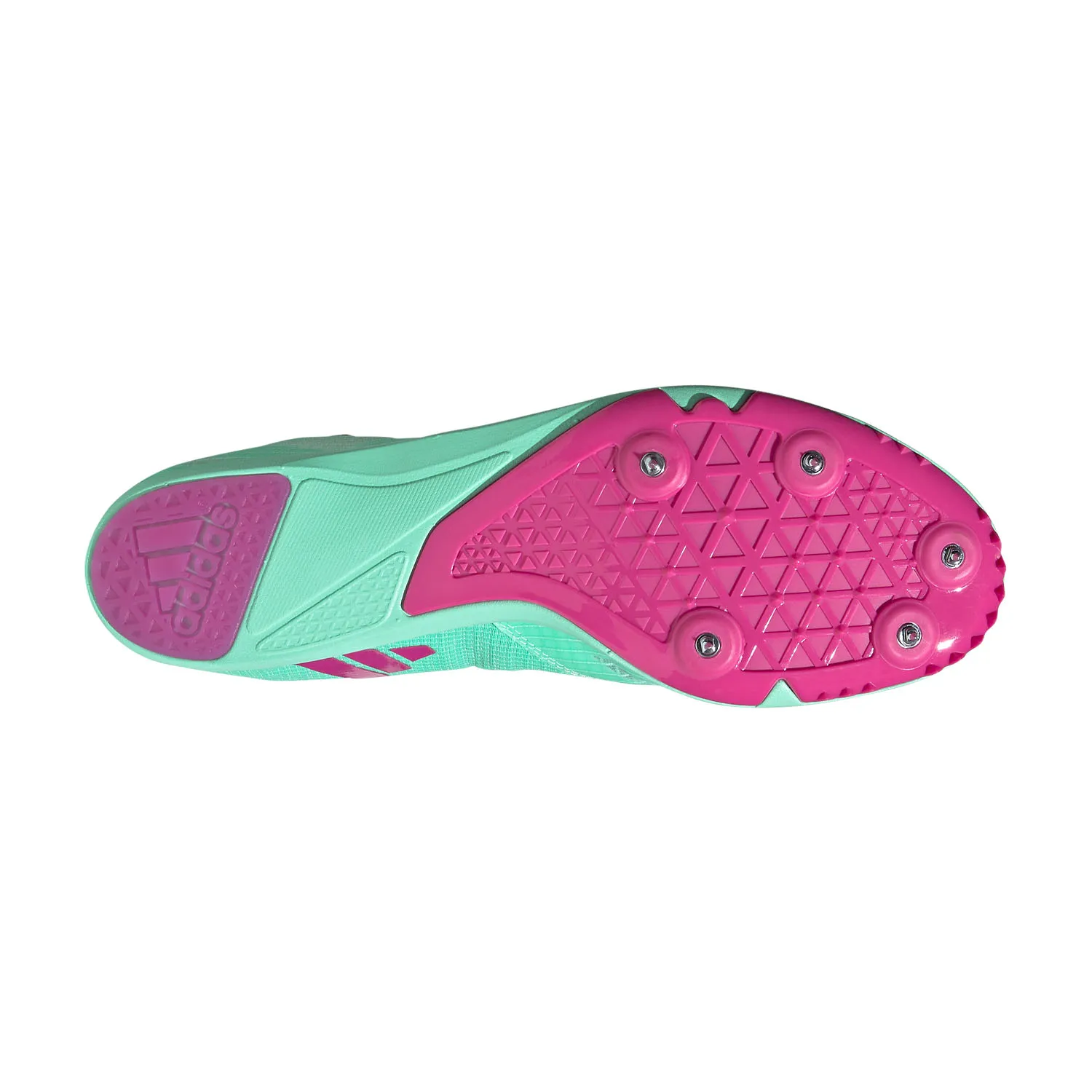 adidas Distancestar  Pulse Mint/Lucid Blue/Lucid Fuchsia