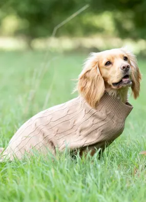 Knitted Dog Jumper - Camel