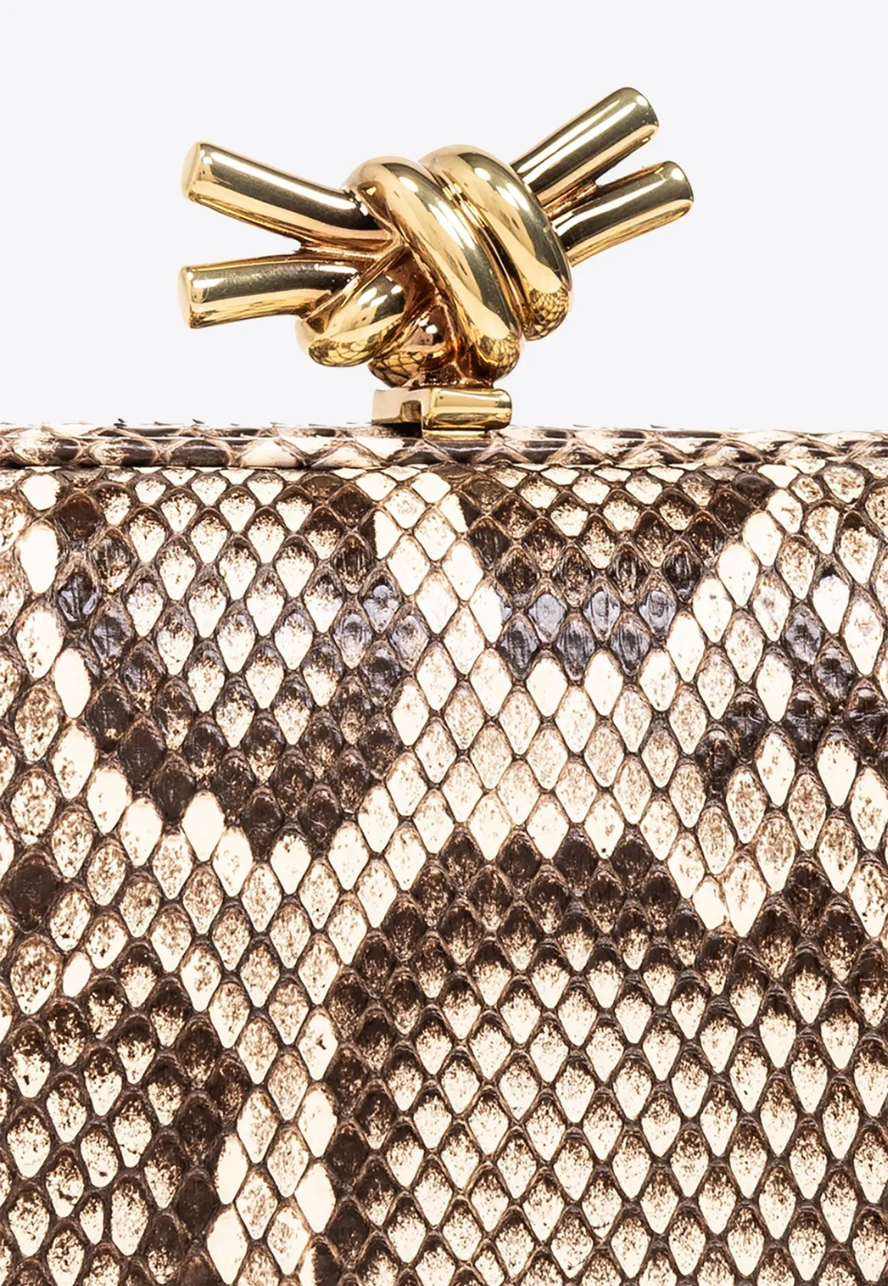 Knot Python Minaudiere Clutch Bag