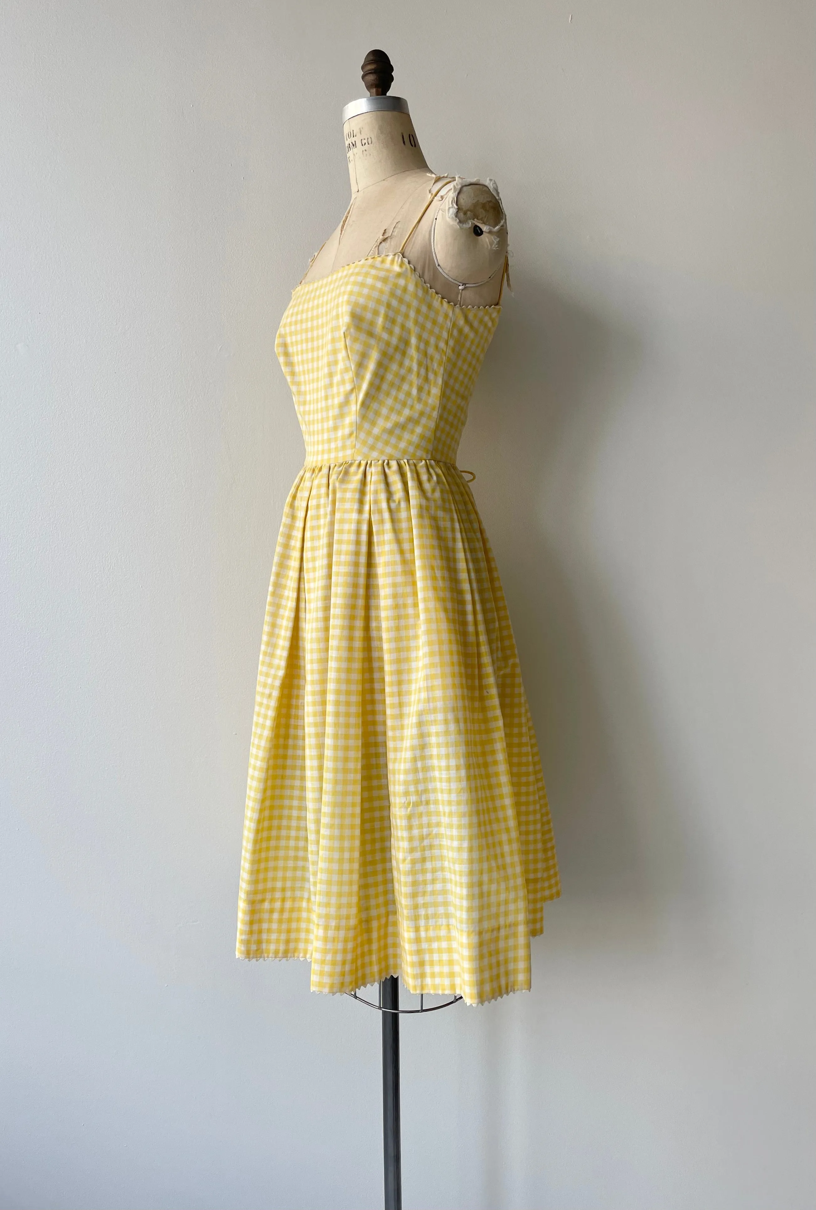 Picnic Gingham Dress | 1950s