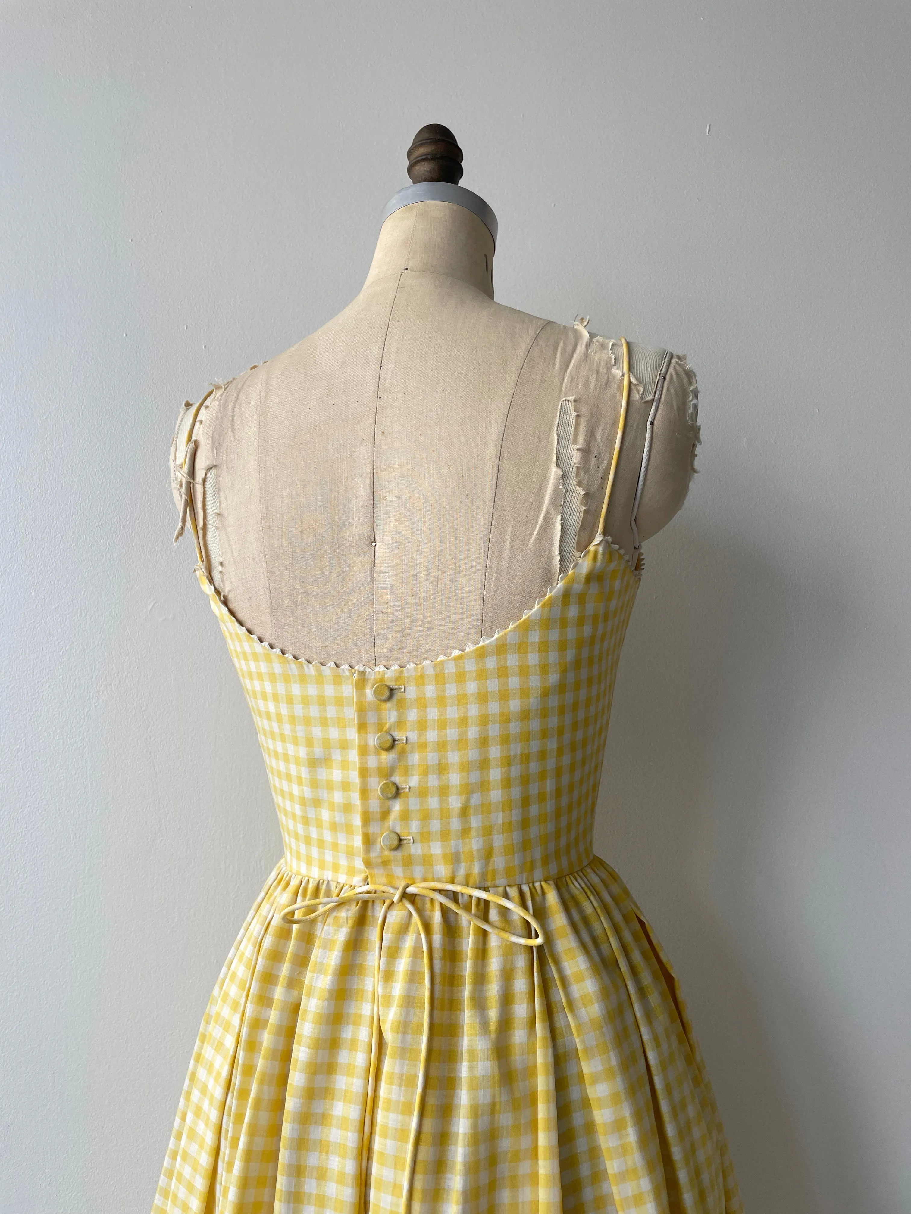 Picnic Gingham Dress | 1950s