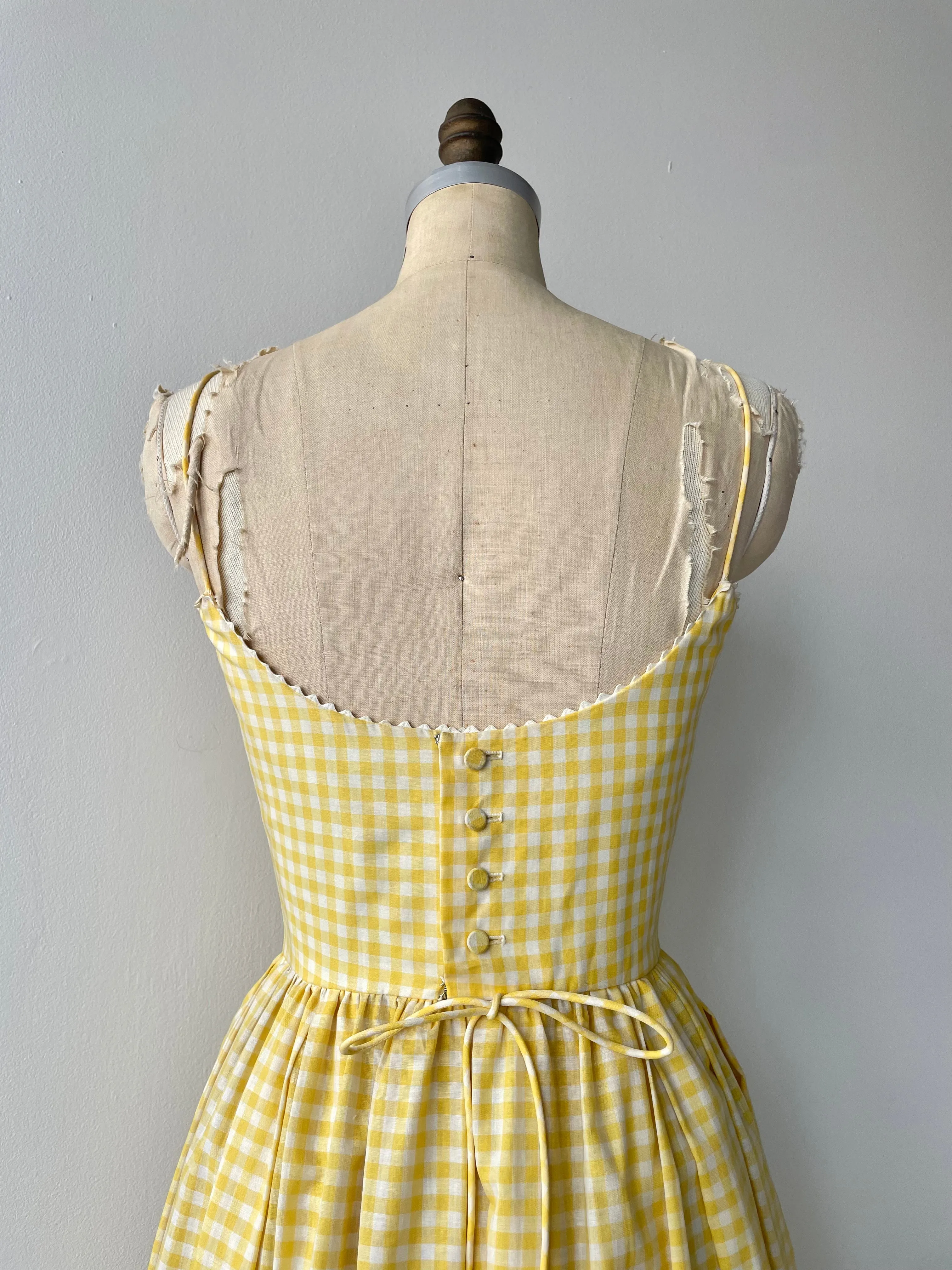 Picnic Gingham Dress | 1950s