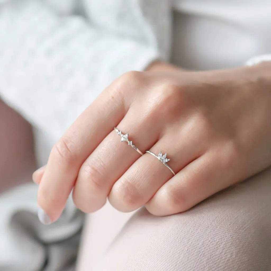 Reine Ring