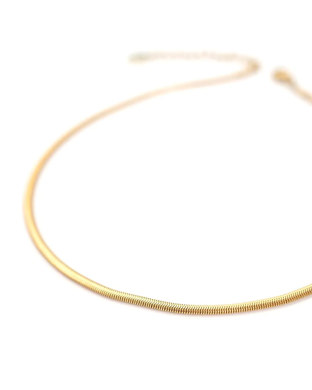 Snake Gold Necklace